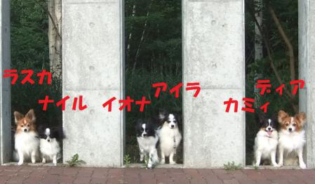 DSCF3657syuf.jpg