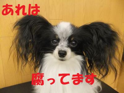 DSCF3808ihnff.jpg