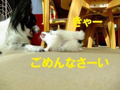 DSCF3888ktnf.jpg
