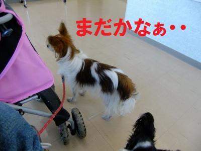 DSCF4614ajsf.jpg