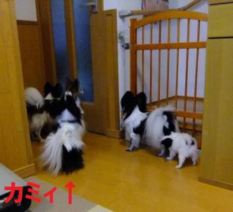 DSCF4719zokf.jpg