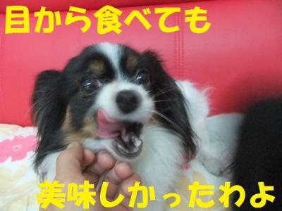 DSCF5120btrf.jpg