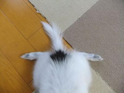 DSCF5667alo.jpg