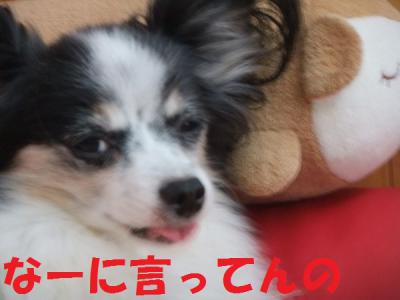 DSCF6290jsnf.jpg