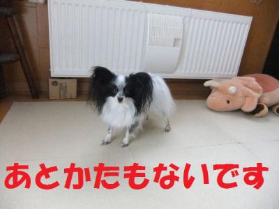 DSCF6398skrf.jpg