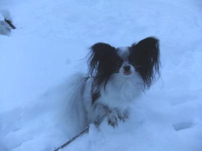 DSCF7402snp.jpg