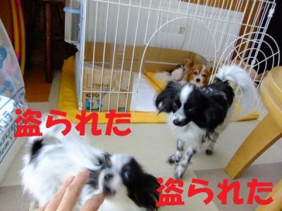 DSCF7854skr.jpg