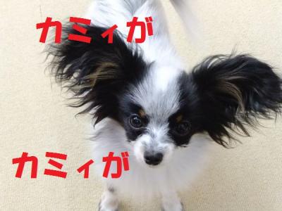 DSCF8300bllf.jpg