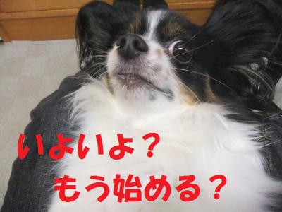 DSCF8505hmgf.jpg