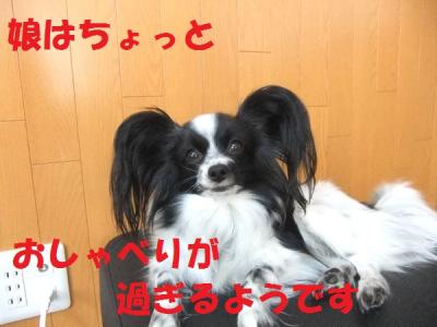 DSCF9846aprf.jpg