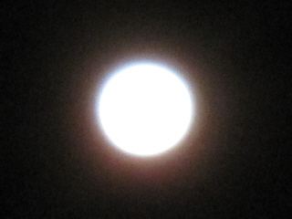 moon20120109.jpg