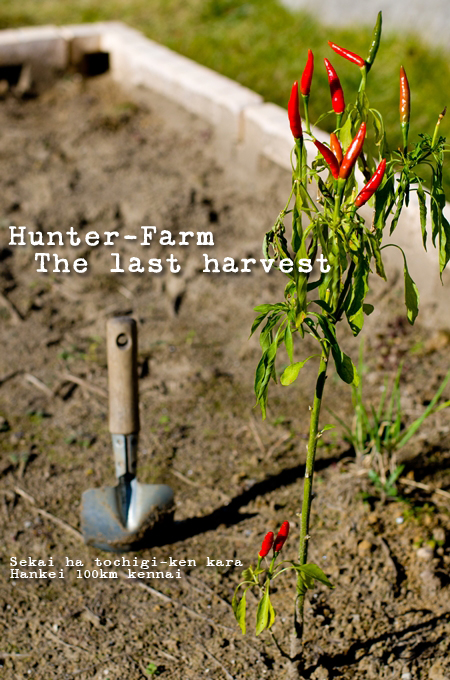 ハンターファーム2011 最後の収穫