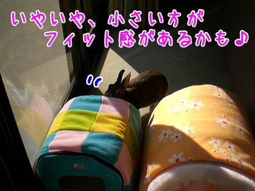 14011703.jpg