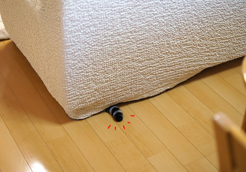 ソファの下のネコ