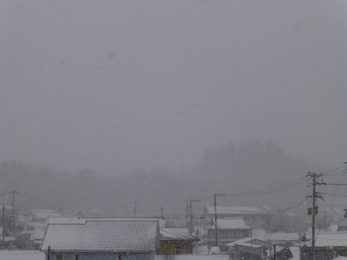 雪景色 2012 12 24 (1)