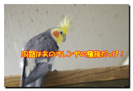 240522Blog6.jpg