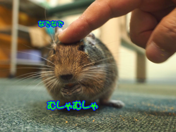 240920Blog6.jpg