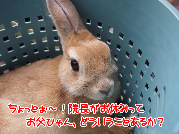 241221Blog6.jpg