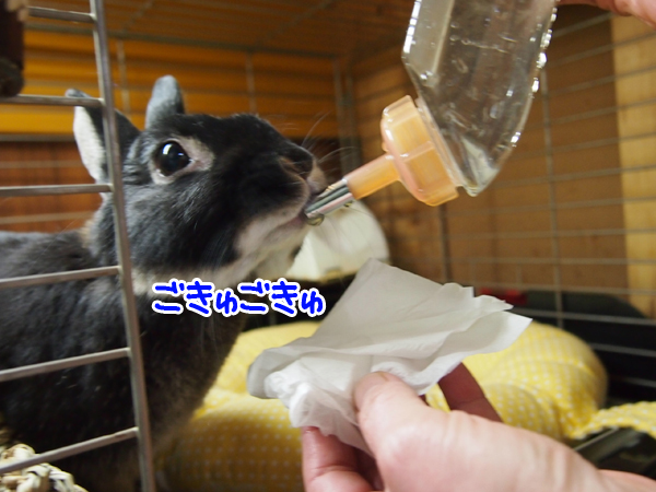 250131Blog4.jpg